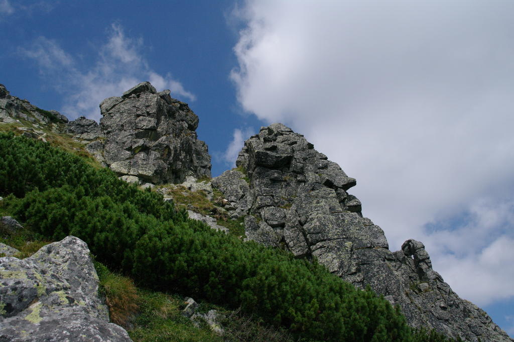 Vysoké Tatry Studio Marek מראה חיצוני תמונה